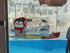 -帝企鹅自助餐厅•儿童岛•真企鹅(长隆企鹅酒店)