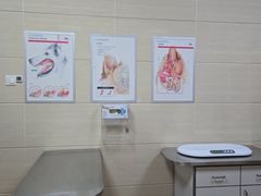 -北京观赏动物医院·24小时大型综合·猫专科·异宠专科