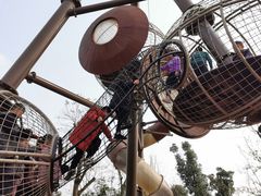 -枫香湖儿童公园