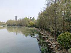 -长广溪湿地公园