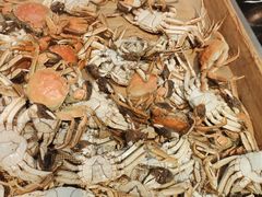 -东方红海鲜百汇(国际大厦店)