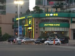 -风雅老树咖啡(清远店)