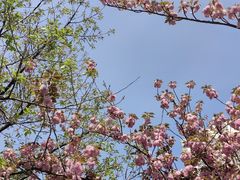 -苏州河梦清园环保主题公园