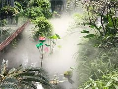 -大妙火锅·非物质文化遗产(东湖公园店)