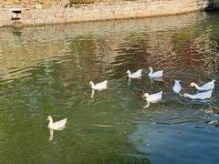 -卧龙堡客栈·中餐厅(古北水镇店)