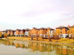 -上海昆虫博物馆