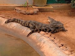 -西霞口神雕山野生动物世界