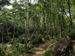 -云岫谷自然风景区