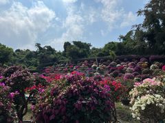 -三亚蜈支洲岛旅游区