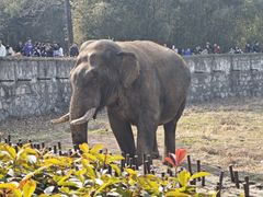 -西安秦岭野生动物园
