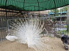 -珠海海泉湾神秘岛亲子乐园