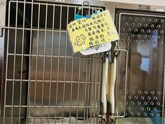 -瑞派中心宠物医院·CT·核磁·神经专科