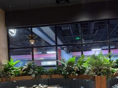-同仁四季椰子鸡(海岸城天利店)
