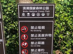 -合肥滨湖国家森林公园