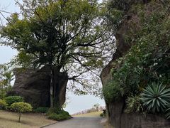 -广州莲花山旅游区