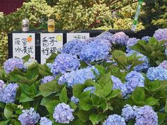 -日本风情街