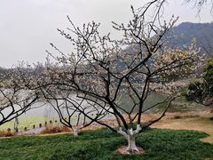 -八卦田遗址公园