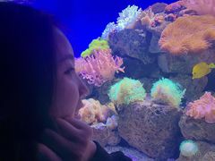 -乌鲁木齐海洋馆