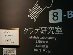 -西海国立公园九十九岛水族馆