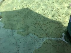-苏州湾王焰温泉度假酒店
