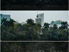 -海心沙亚运公园