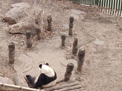 -沈阳森林动物园