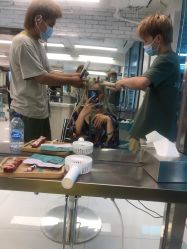 点击看大图 -P.STYLE 派斯造型