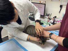 -美联众合动物医院·24h转诊中心