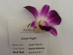 android_upload_pic-普吉岛卡塔阿维斯塔诺富特酒店度假村