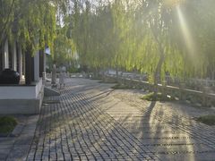 -厦门园林博览苑
