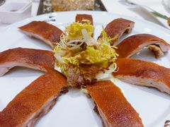 脆脆BB猪-翠园(北京王府中环店)