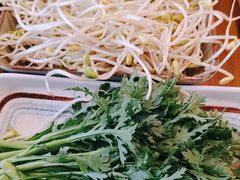 -小天鹅火锅·一线江景洪鼎旗舰店(洪崖洞店)