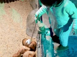 -酷嗒动物文化乐园(cutezoo西溪乐天城店)