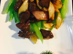 -云中小雅
