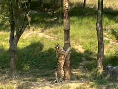 -杭州野生动物世界