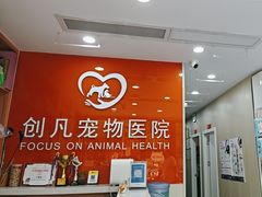 -创凡宠物医院·骨专科  猫科中心(西乡分院)
