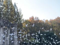 -音乐台