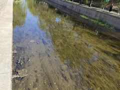 -元大都城垣遗址公园