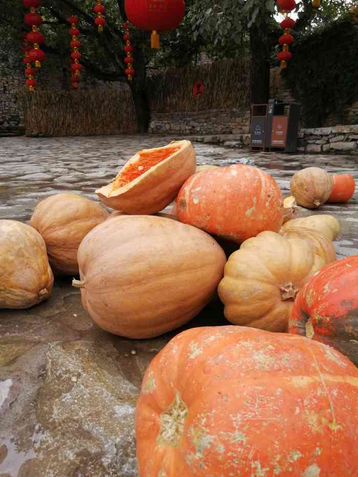 西井峪文化艺术村-"西井裕文化艺术村坐落于蓟州地区.十一长假.