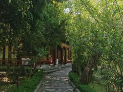 -南汇桃花村