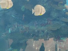 -鸿通城购物中心