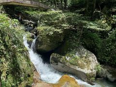 -炎陵县神农谷国家森林公园