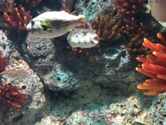 -福州罗源湾海洋世界旅游区