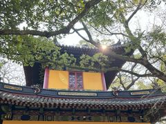 -普陀山风景名胜区-法雨禅寺