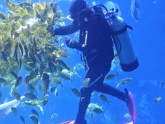 -太平洋海底世界