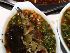 黄辣丁-满诗爷黄辣丁(金岛花园店)