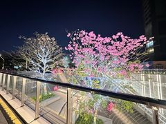 -东莞松山湖万象汇