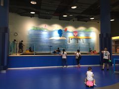 -蒙特利亲子乐园