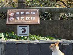 -句容茅山景区