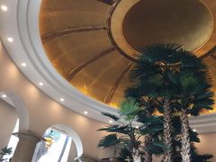 -圣爵菲斯大酒店(长沙世界之窗店)